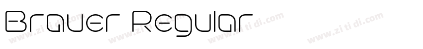 Brauer Regular字体转换